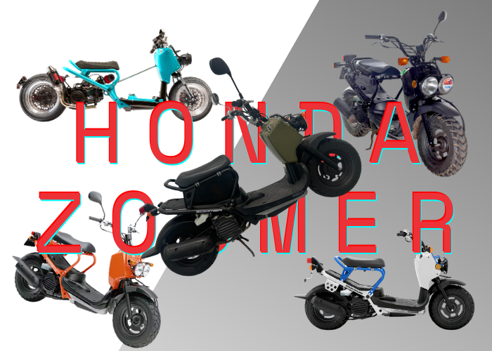 Honda Zoomer Cover Image